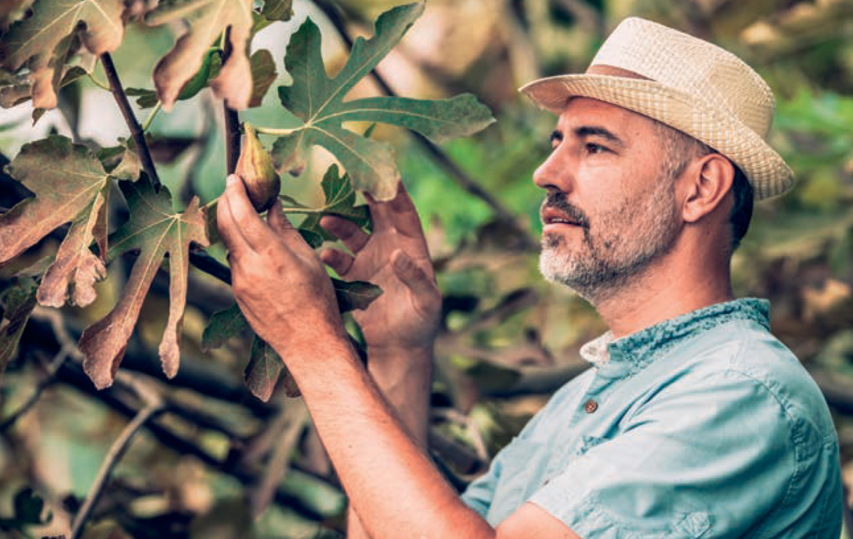 Mann auf einer Plantage